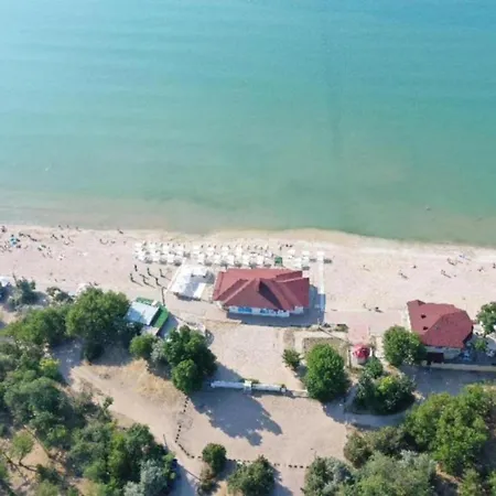 Hostel Пальма Хостел Odesa